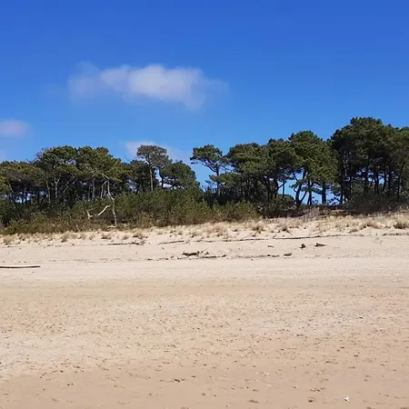 公寓 Les Rochers De Vallieres, De 35 M2 Avec 1 Chambre, Terrasses, Jardin 140 M2, Vue Panoramique Face A L'ocean ! *